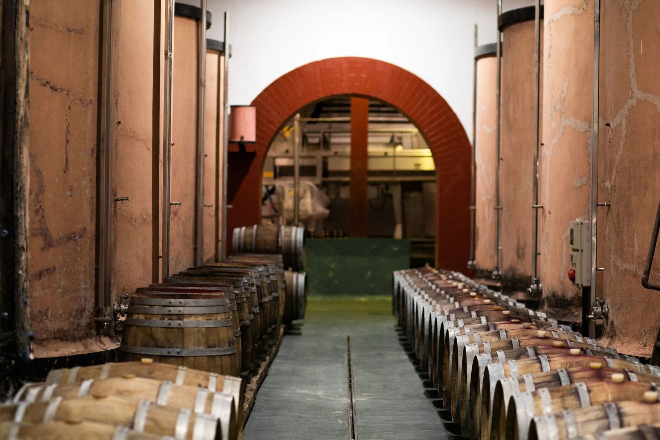 bodega5lapalma Barricas en una bodega de La Palma
